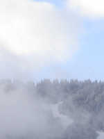 Thumbnail example